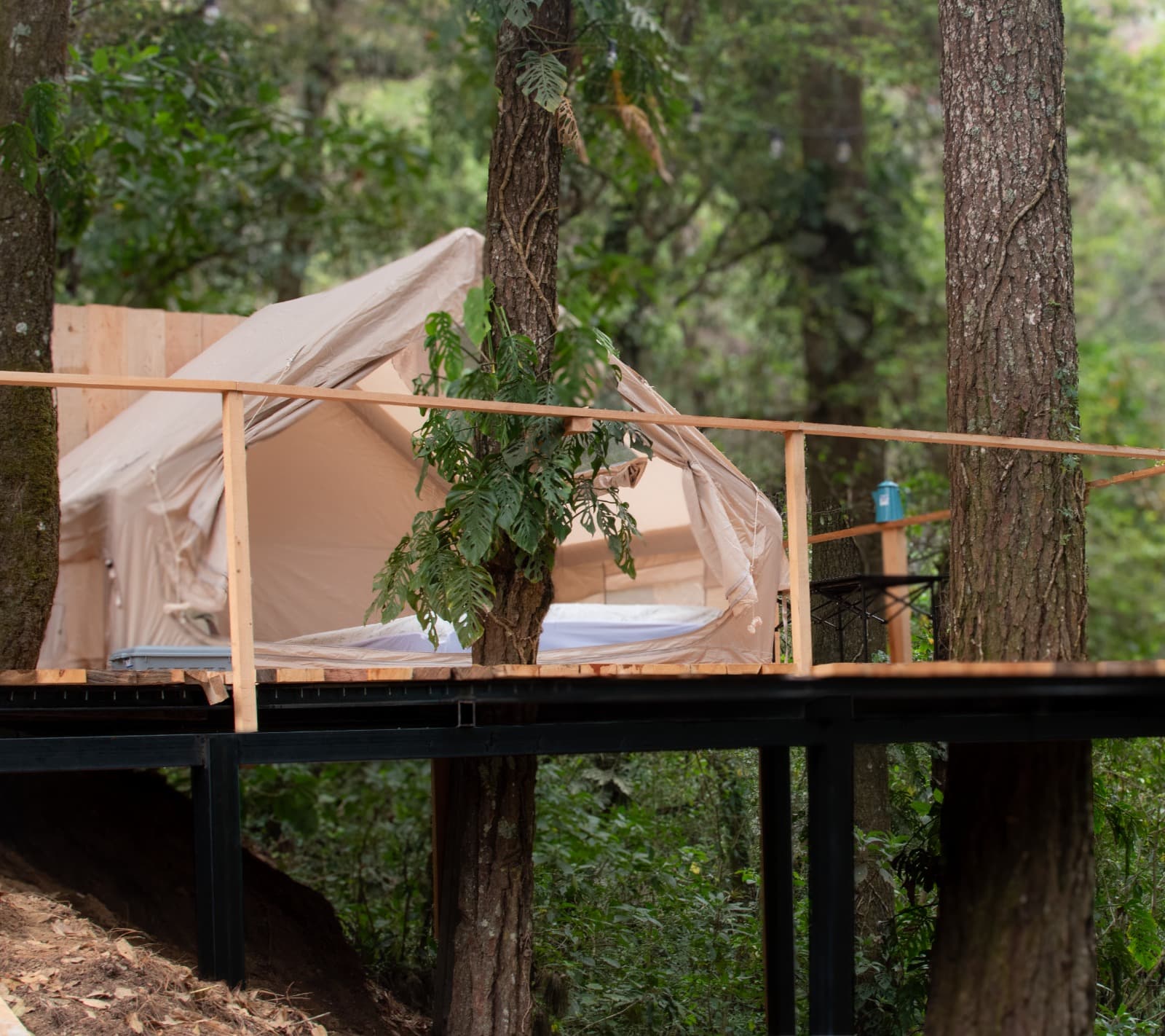 Cozy Forest Camping Experience detail 1