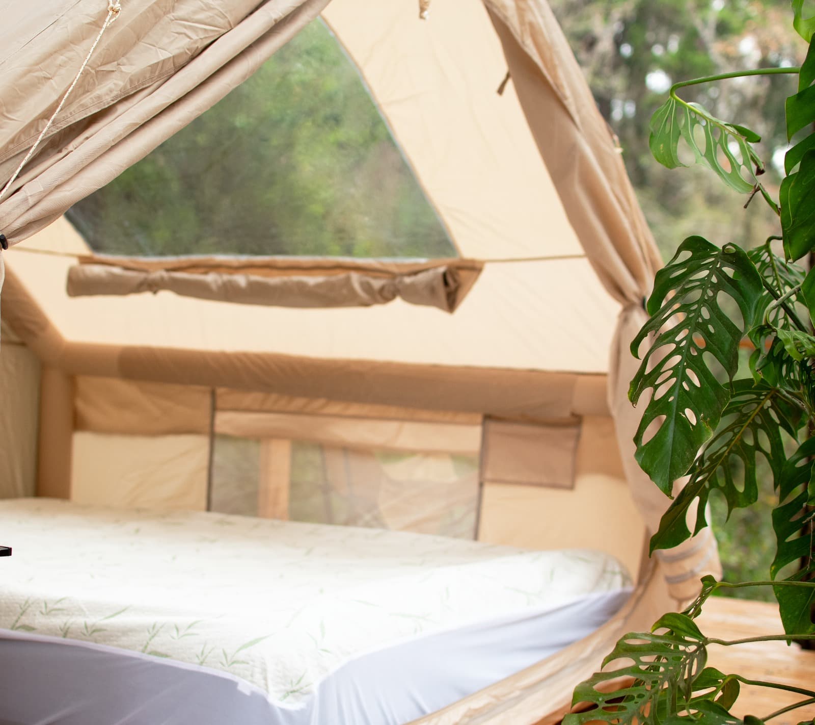 Cozy Forest Camping Experience detail 2